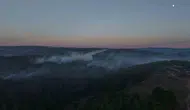 Gebze'de alevler ormana sıçradı, ekipler yangına havadan ve karadan müdahale etti
