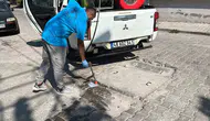 Germencik’te haşereyle mücadele mesaisi başladı