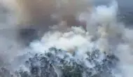 Edremit’te orman yangını paniği