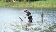 Düzce'de oltaya takılan kuşun imdadına itfaiye yetişti