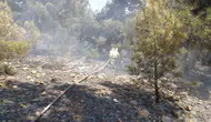 Bekilli orman yangını büyümeden söndürüldü
