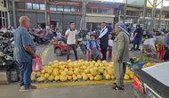 Çermik pazarında aracısız alışveriş dönemi