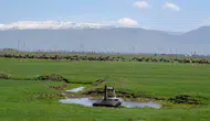 Danimarka 1933 yılında Erzurum ve Kars’ı süt üssü yapmak istemiş