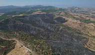 Manisa Kula'da bin dönümlük alan küle döndü