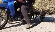 Yüksekovalı çiftçiden kış öncesi pratik taşıma çözümü