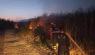 Samandağ’da kamışlık alanda korkutan yangın