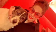 Esenyurt’ta kaybolan sahipli köpek barınakta ölü bulundu