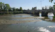 Edirne’de Tunca Nehri kuruyor