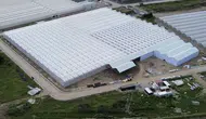 Samsun Bafra'da dev seralar topraksız üretime geçti