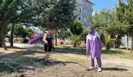 Defne'de taziye evi için ağaç kıyımı