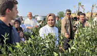 Düzce’de yaban mersini hasadı genç girişimcilere ilham veriyor