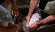 Alihan Kuriş soruşturmasında kritik delil operasyonu