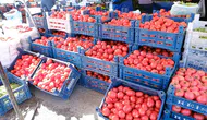 Erzincan mutfaklarında kış telaşı: Domates ve biber pazara indi