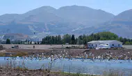 Denizden yüzlerce kilometre uzakta şaşırtan manzara: Erzurum semalarında martı sürprizleri