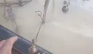 Sel suları emeğini alıp götürdü ama o minik canlıları unutmadı