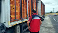 Uşak yollarında sıkı takip: Hayvan sağlığı için denetimler hız kesmiyor