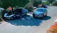 Bodrum'da vicdansızlık kamerada: Yolda yatan köpekleri ezip durmadan gitti