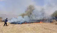 Yozgat'ta korkutan anız yangını: 150 dönümlük arazi küle döndü