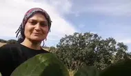 Sivas'ta şaşırtan dostluk: Karpuz ikramını beğenen tilki eşini de alıp geri döndü