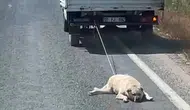 Şanlıurfa'da vicdanları sızlatan görüntü: Kamyonetin arkasında sürüklenen köpek için soruşturma başlatıldı