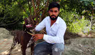 Adana'da komşu dehşeti: İnşaatta uyuyan köpeğe sopalı saldırı