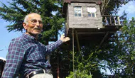 Torununun hayali için 90 yıllık meşe ağacını mesken tuttu: Yerden 6 metre yüksekte huzur buluyor