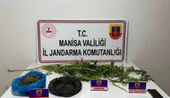 Sarıgöl'de jandarmanın titiz takibi sonuç verdi: Evinde kenevir yetiştiren şüpheli cezaevine gönderildi