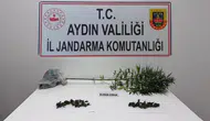 Söke'de jandarmanın baskınında yaşlı şüphelinin evinden uyuşturucu çıktı