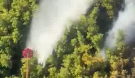 Manavgat alevlere teslim: Ekipler zamanla yarışıyor