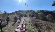 Zonguldak ormanlarında renkli kanatlar yeniden özgürlüğüne kavuştu