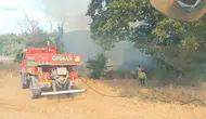 Edirne'de korkutan orman yangını: Ekipler alevlerle mücadele ediyor