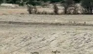 Batman'ın kırsalında beklenmedik misafirler: Sabahın sessizliğini oyunlarıyla bozdular