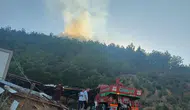 Hassa'da ormanlık alanda korkutan dumanlar: Ekipler zamanla yarıştı