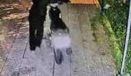 Reyhanlı'da gece yarısı operasyonu: Avluya giren maskeli hırsızlar kamerada