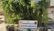 Karabük'te jandarmadan eş zamanlı darbe: Kaçakçılık şebekesine geçit yok