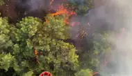 Antalya'da ormanlık alanda korkutan dumanlar: Ekipler seferber oldu