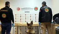 Kapıkule'de zehir tacirlerine geçit yok: TIR'ın gizli bölmelerinden tonlarca değil ama büyük bir vurgun çıktı