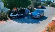 Bodrum'da vicdansızlık kamerada: İki köpeği ezip hiçbir şey olmamış gibi uzaklaştı