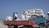 Beyşehirli üreticiler için haşhaş sezonu: Randevular açıldı