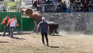 Ardanuç'ta nefes kesen anlar: 600 kiloluk boğa engel tanımadı