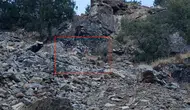 Diyarbakır'ın sarp yamaçlarında sürpriz karşılaşma: Doğanın nadide üyeleri objektiflere takıldı