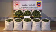 Bafra kırsalında zehir tacirlerine jandarma darbesi