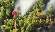 Manavgat'ta ormanlık alandan dumanlar yükseliyor: Ekipler seferber oldu