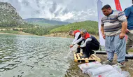 Mersin'in su kaynaklarında devasa balıklandırma operasyonu: 347 bin sazan doğaya salındı