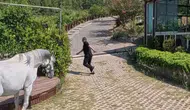 Müzik tutkusu az kalsın canından ediyordu: Klip çekiminde ölümle burun buruna geldi