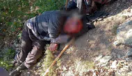 Kuşburnu hasadı kabusa döndü: Ormanlık alanda metrelerce sürüklendi