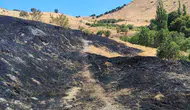 Ergani'de korkutan alevler: 100 dönümlük arazi küle döndü