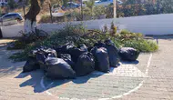 Bodrum'da hummalı temizlik: Okullar açılmadan yeşil alanlar baştan aşağı yenileniyor