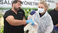 Elazığ'da olası bir salgına karşı kritik prova: Ekipler sahaya indi