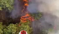 Antalya'da alevlerle zorlu mücadele: Aksu'da orman yangını alarmı